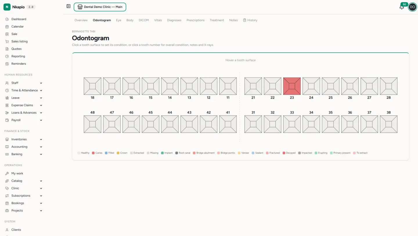 The dental odontogram